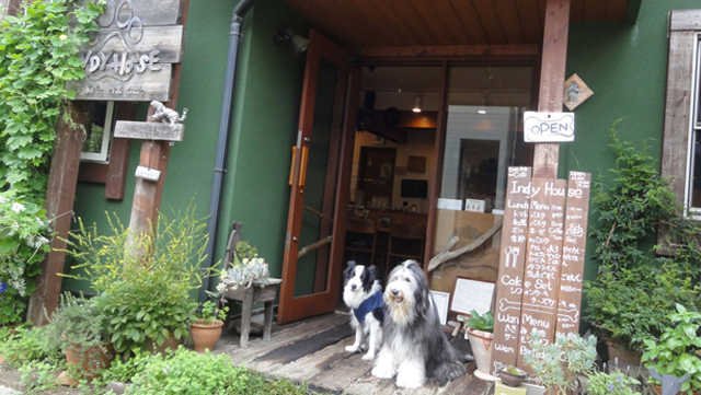 Dog Arts And Cafe Indy House 東京 関東 Wankoドッグカフェ