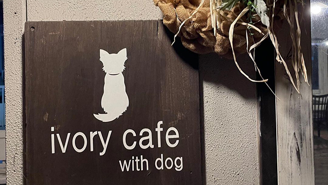 Ivory Cafe With Dog 広島 中国 Wankoドッグカフェ