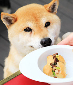 dogeats_gallery_02